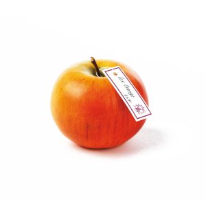 Cox's Orange Pippin Without Thick Stem