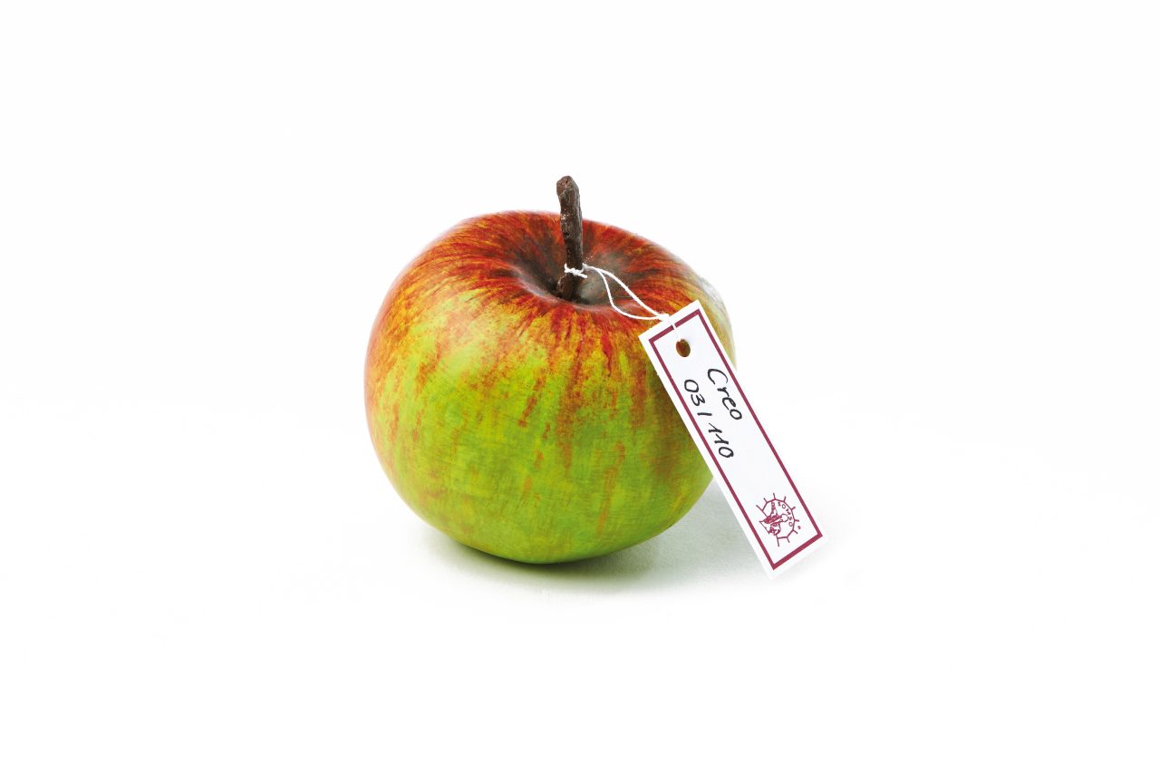 Creo Variety