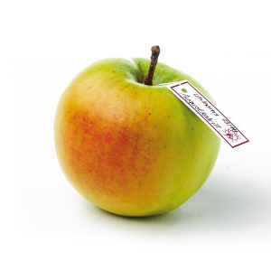 Uhlhorns Augustkalville Variety