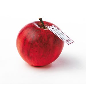 Ruhm Aus Kelsterbach