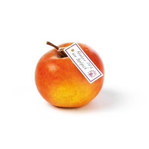 Freiherr Von Berlepsch