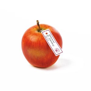 Geheimrat Dr. Oldenburg