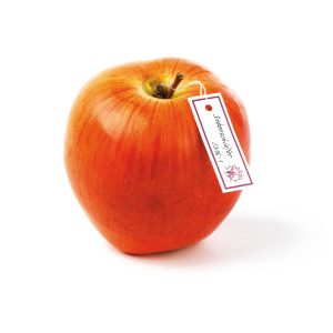 Siebenschlaefer With Thick Stem