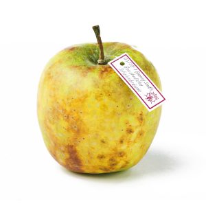 Granny Smith With Usual Scald