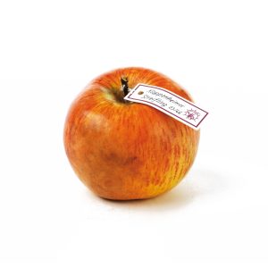 Kloppenheimer Streifling