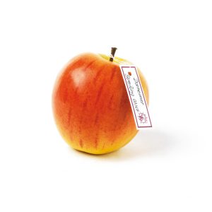 Dorheimer Streifling