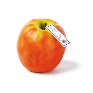 Cripps Pinkpink Lady®