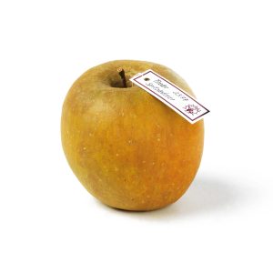 Tiroler Spitzlederer