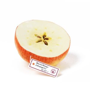 Heuchelheim Snow Apple – Stem Half