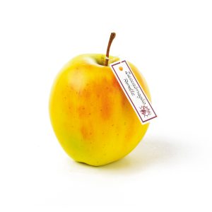 Zuccalmaglio’s Reinette