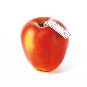 Koerler Edelapfel