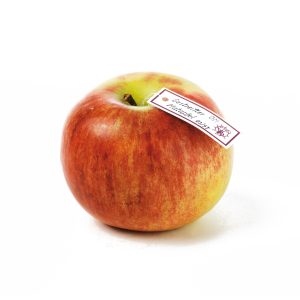 Gestreifter Matapfel