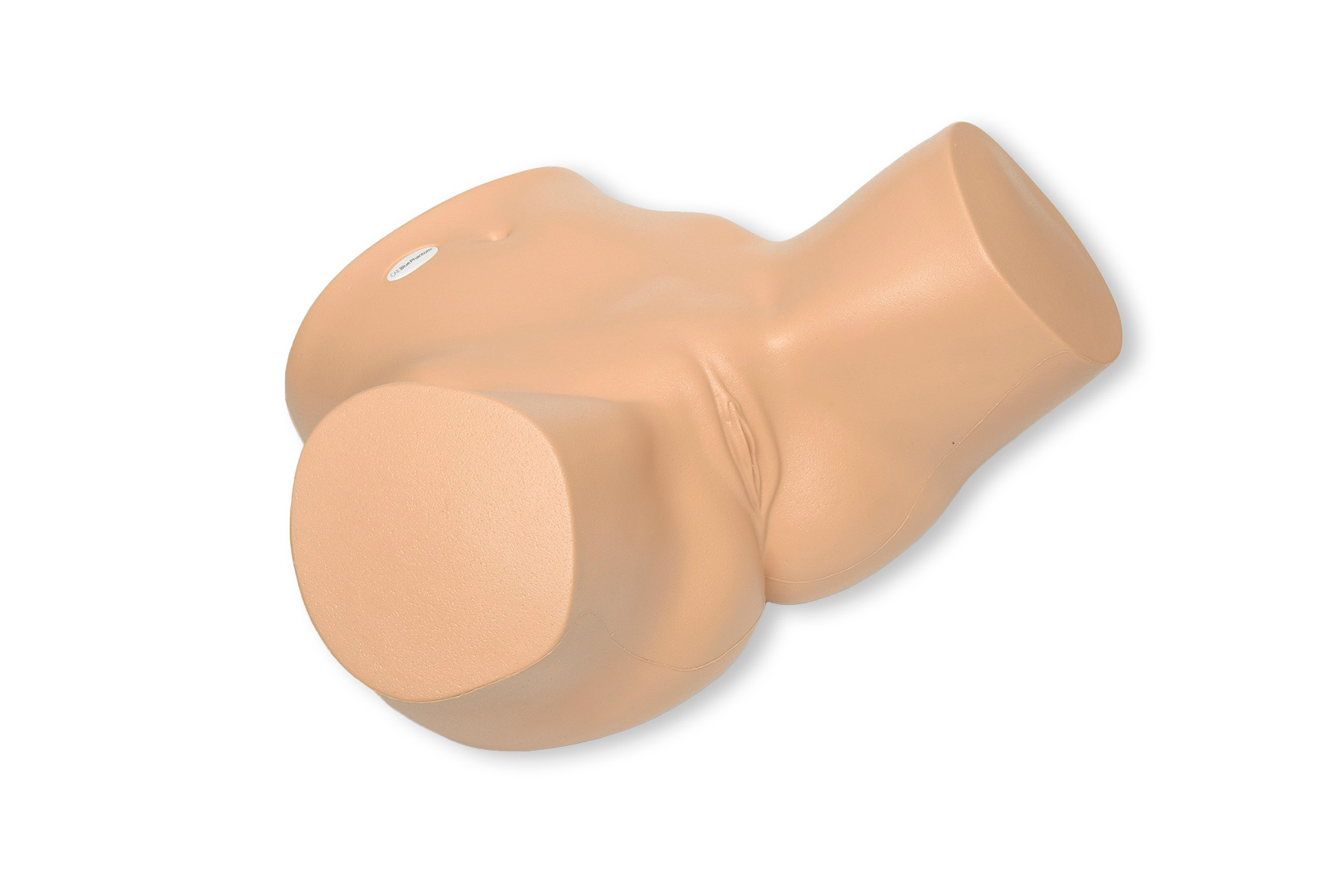 Combination Iup Ectopic Pregnancy Transvaginal Ultrasound Training Model