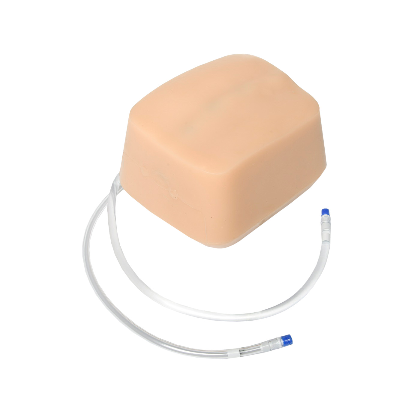 Tissue Insert for Lumbar Puncture and Spinal Epidural Ultrasound Model ABP075