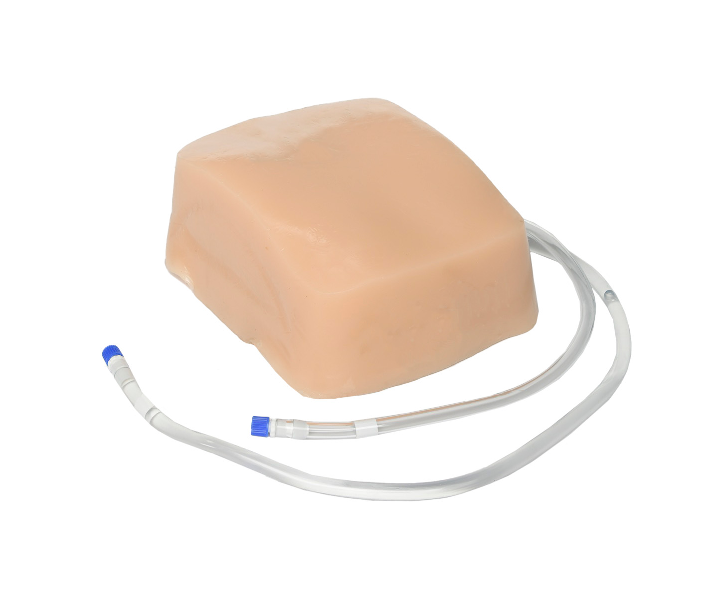 Tissue Insert for Lumbar Puncture and Spinal Epidural With Thoracic Epidural Ultrasound Training Model ABP076