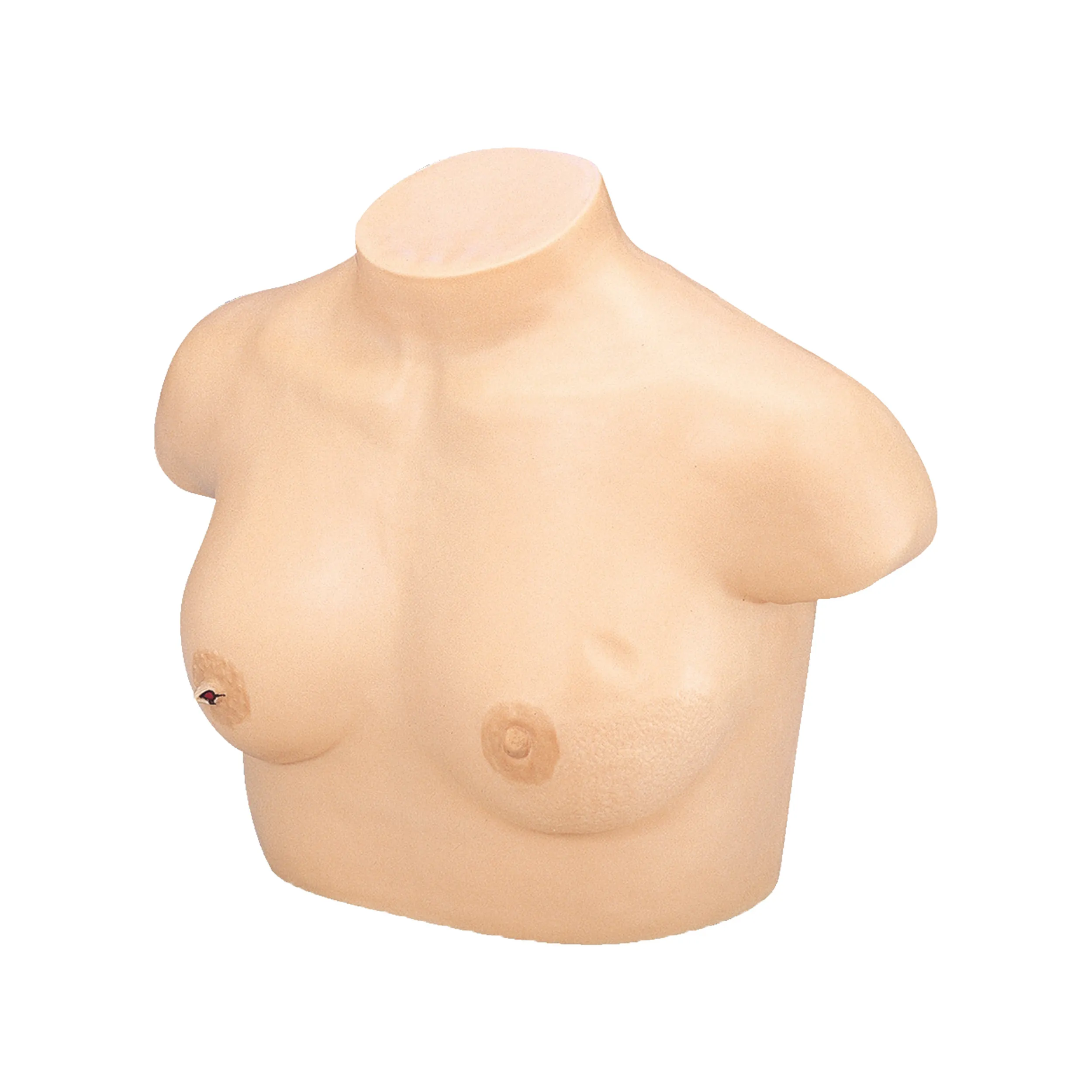 Breast Cancer Training Model