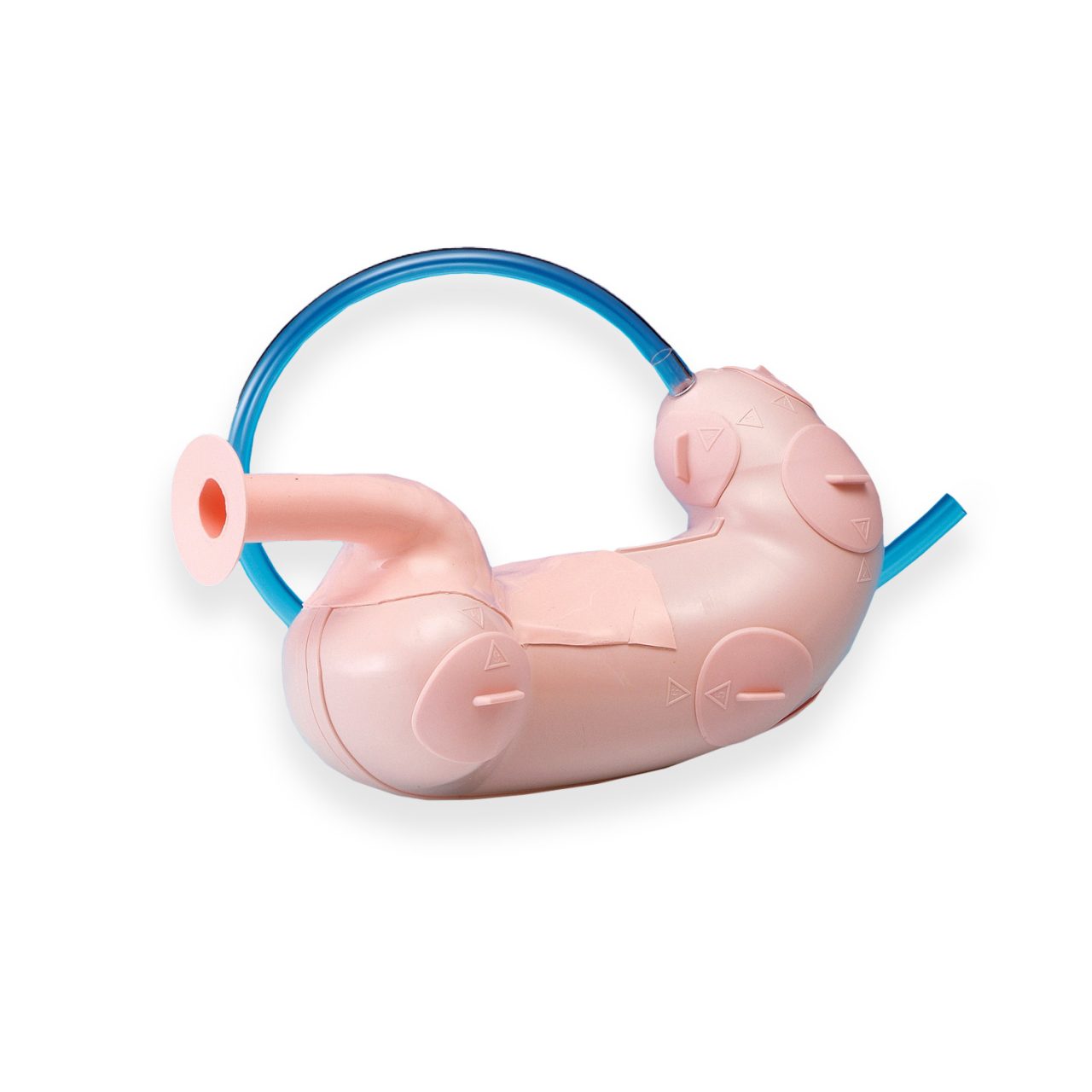ESD - Endoscopic Submucosal Dissection Training Model