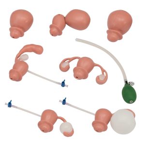 Gynaecological Examination Simulator