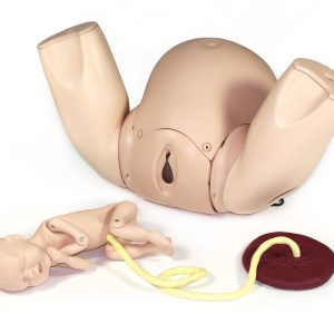 Prompt Flex Birthing Simulator - Standard, Light