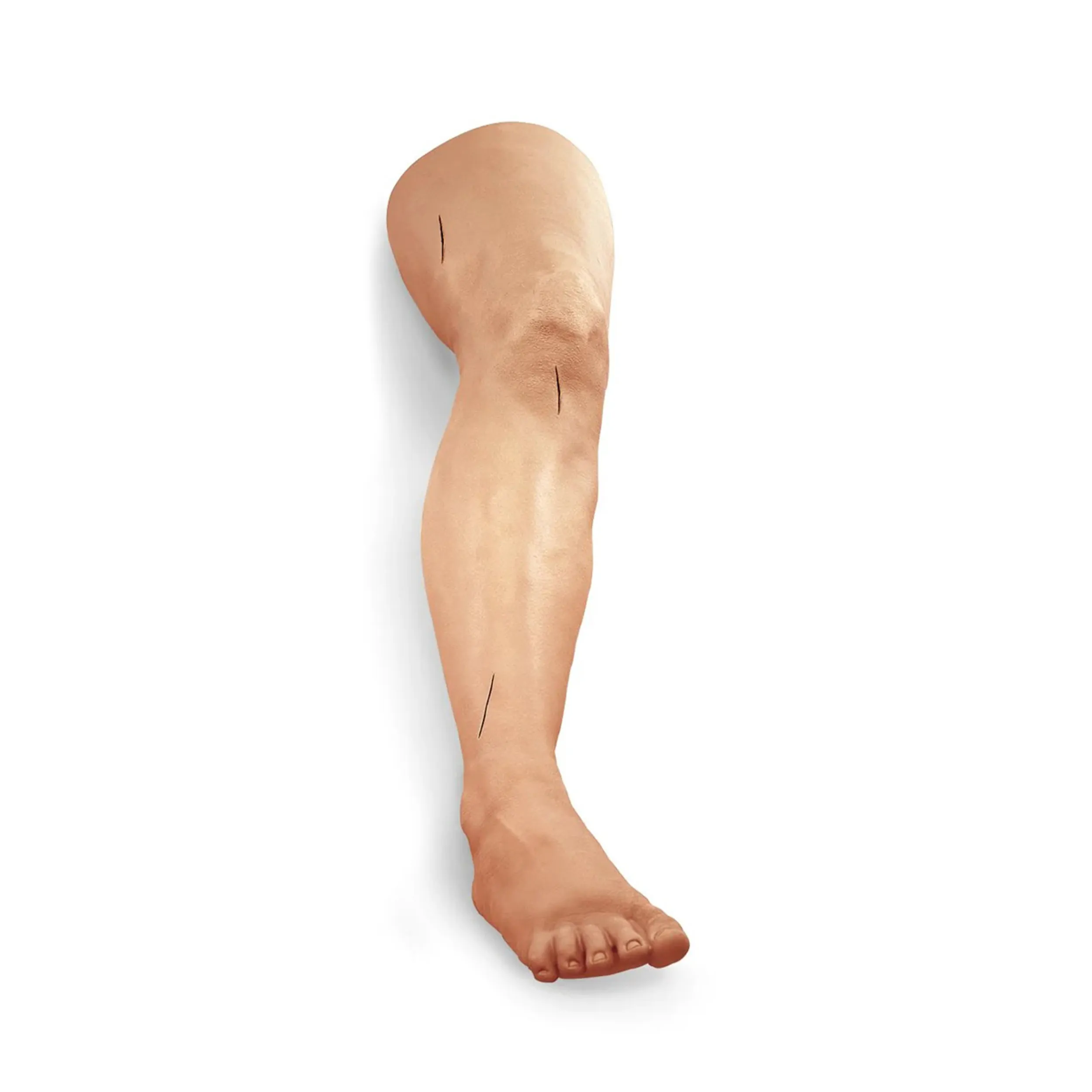 Suture and Stapling Practice Leg, Light