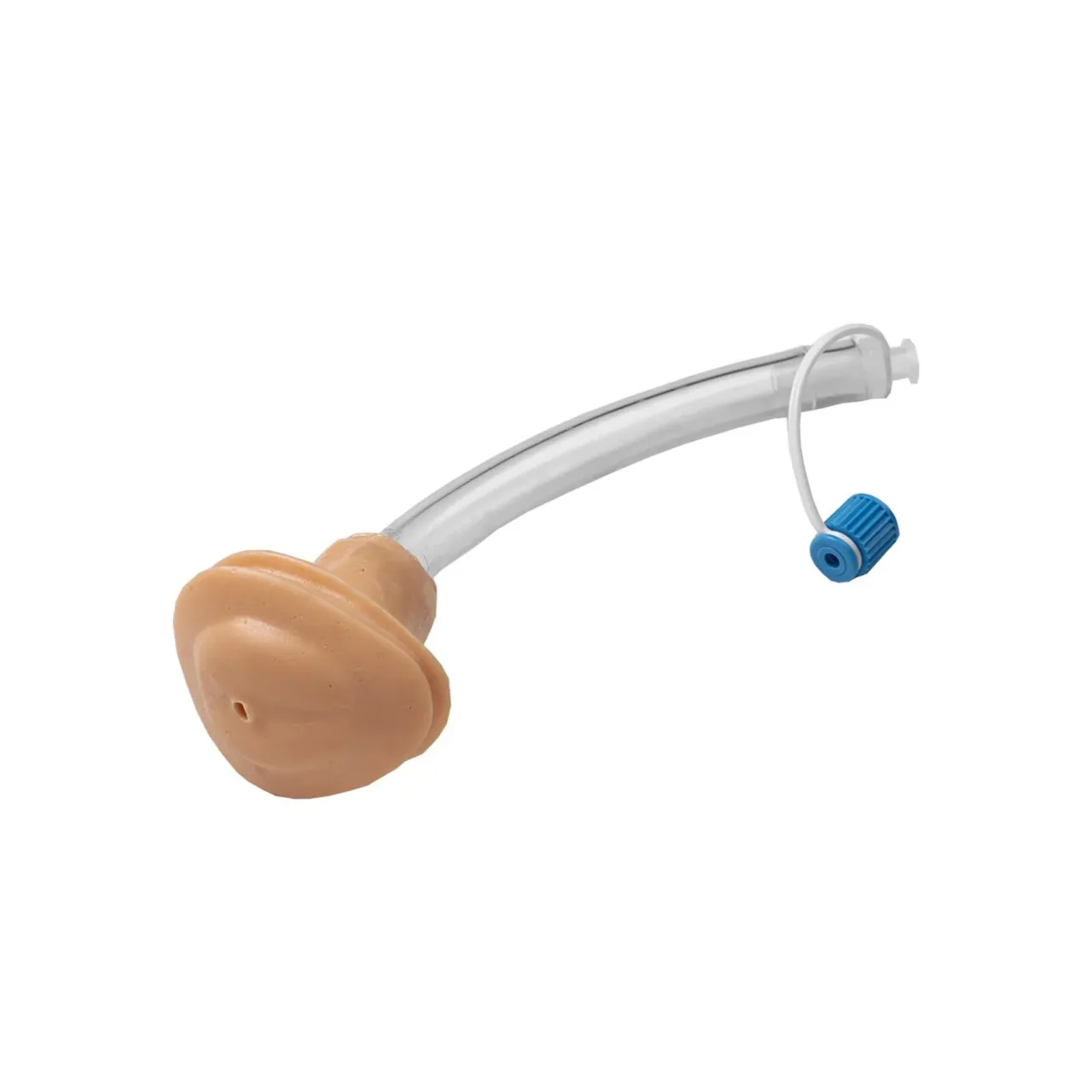 Replacement Genital Insert for Infant Catheterisation Trainer - Female