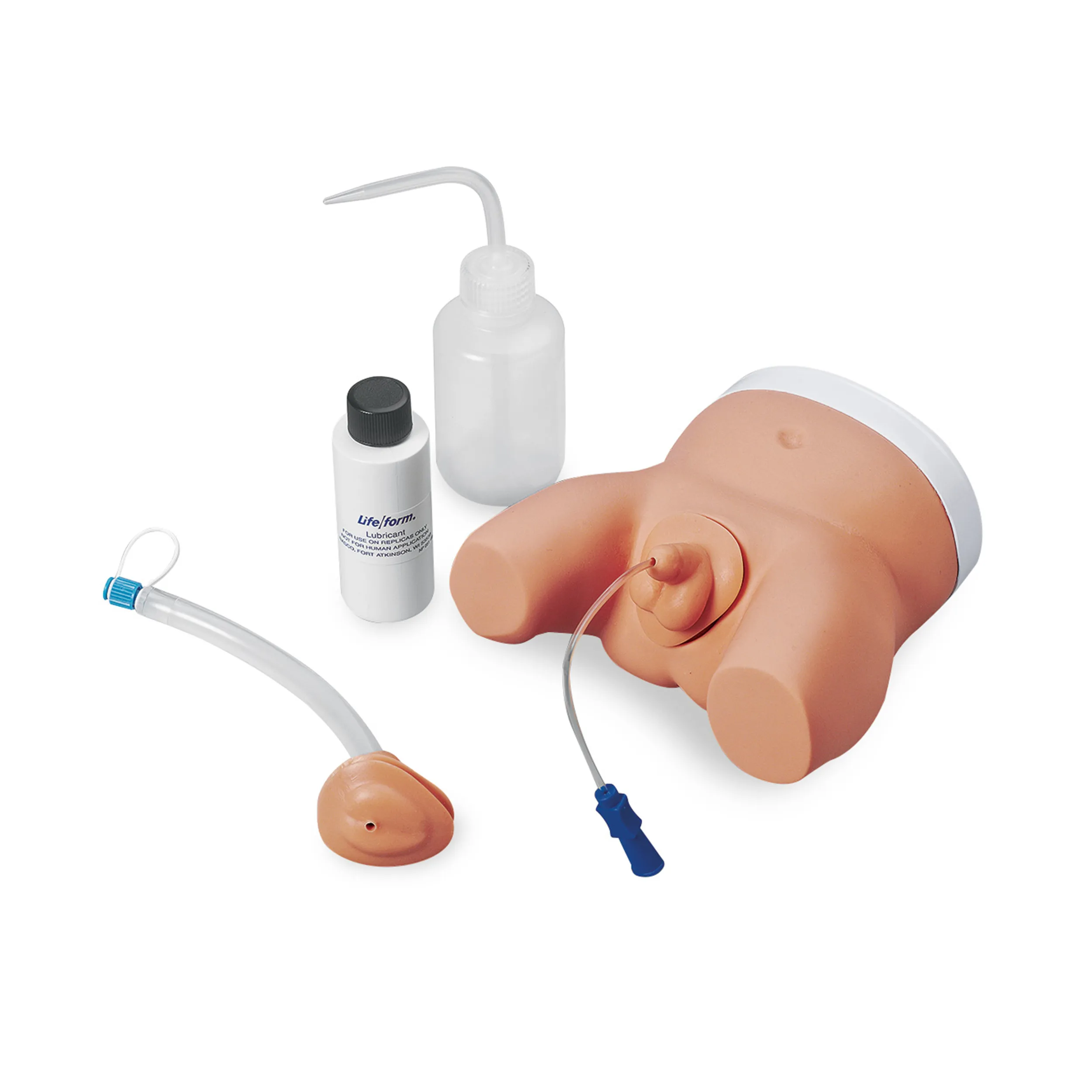 Infant Male and Female Catheterisation Model
