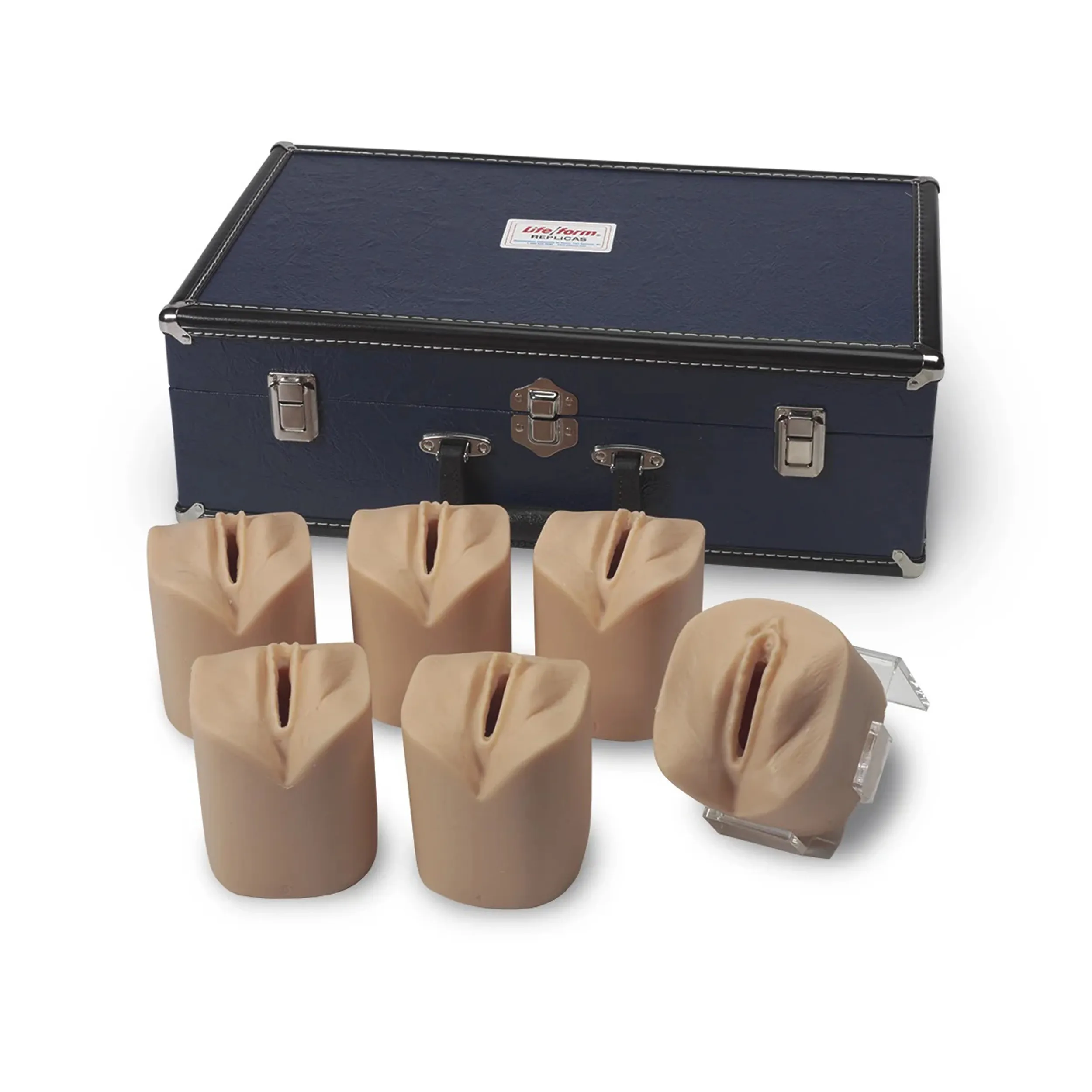 Cervical Dilatation/Effacement Simulators