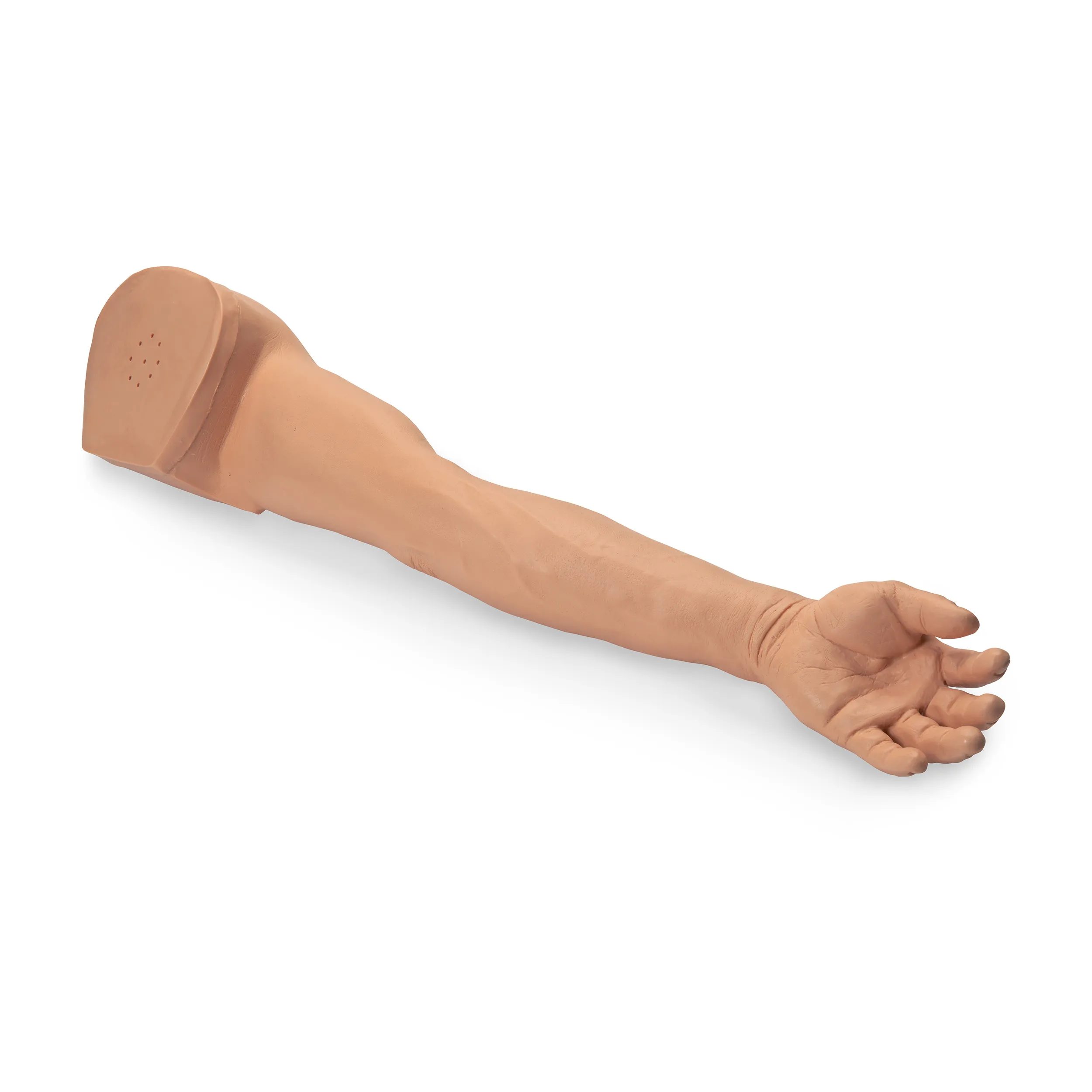Venipuncture and Injection Demonstration Arm, Light