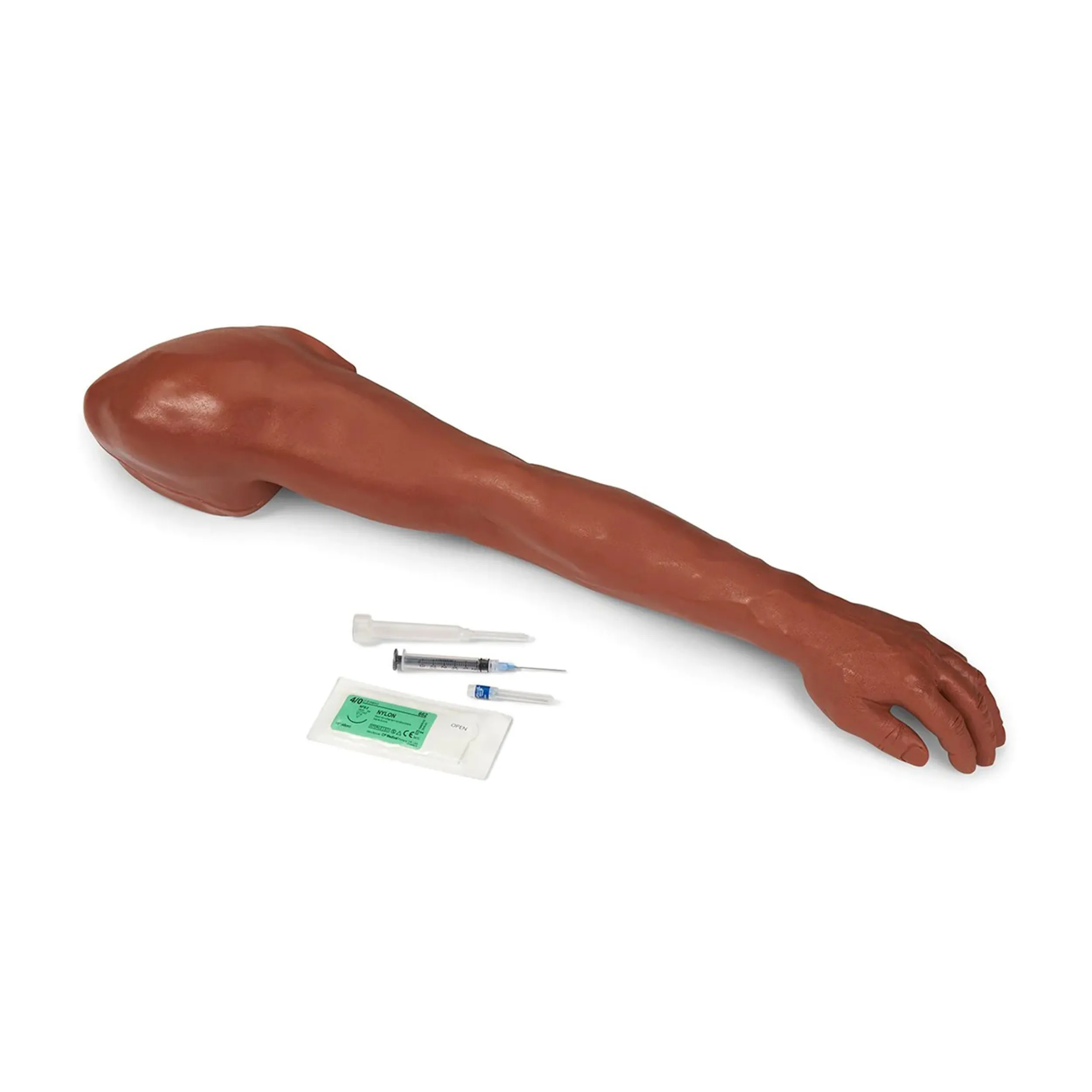 Venipuncture and Injection Demonstration Arm, Medium