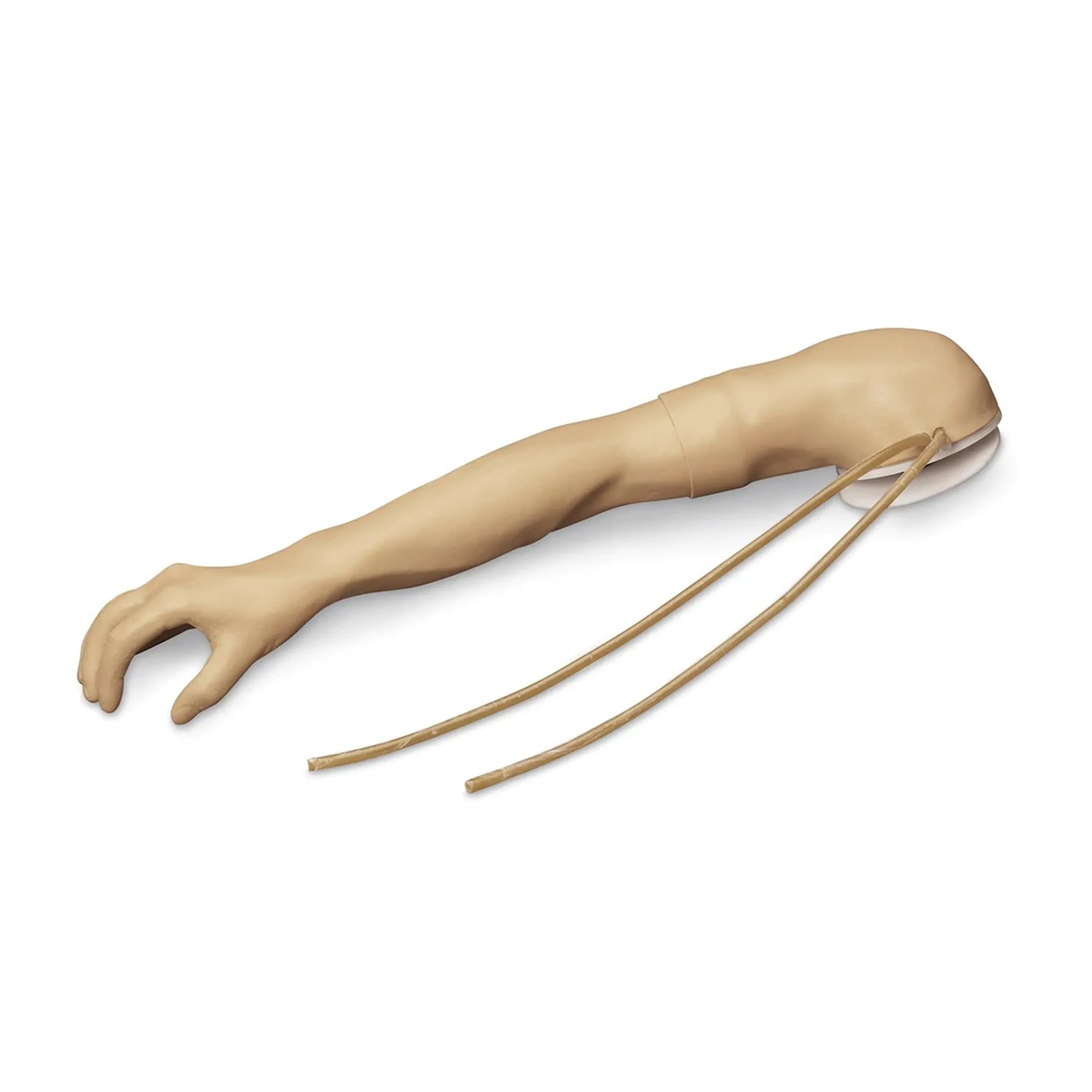 Injectable Training Arm – CPARLENE