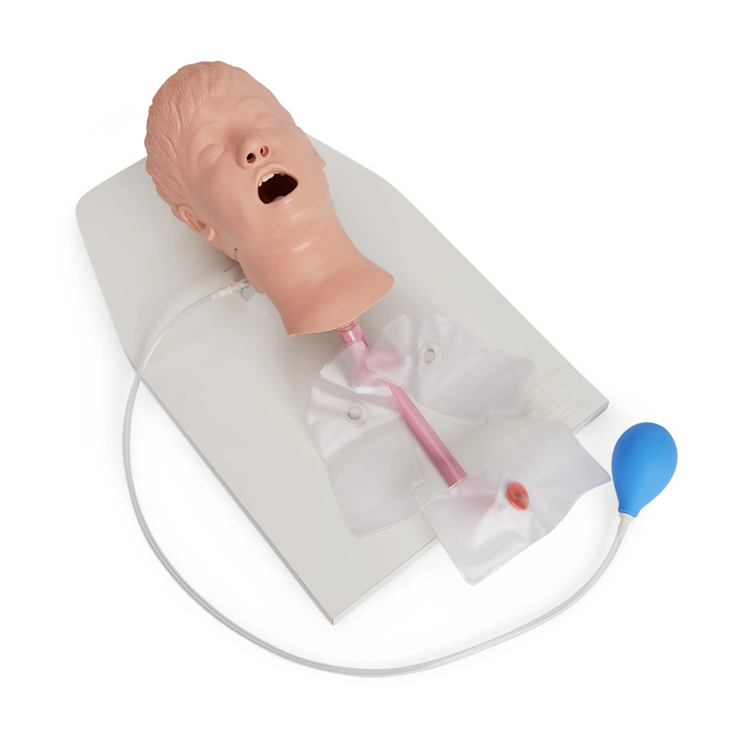 Child Airway Management Trainer on Stand