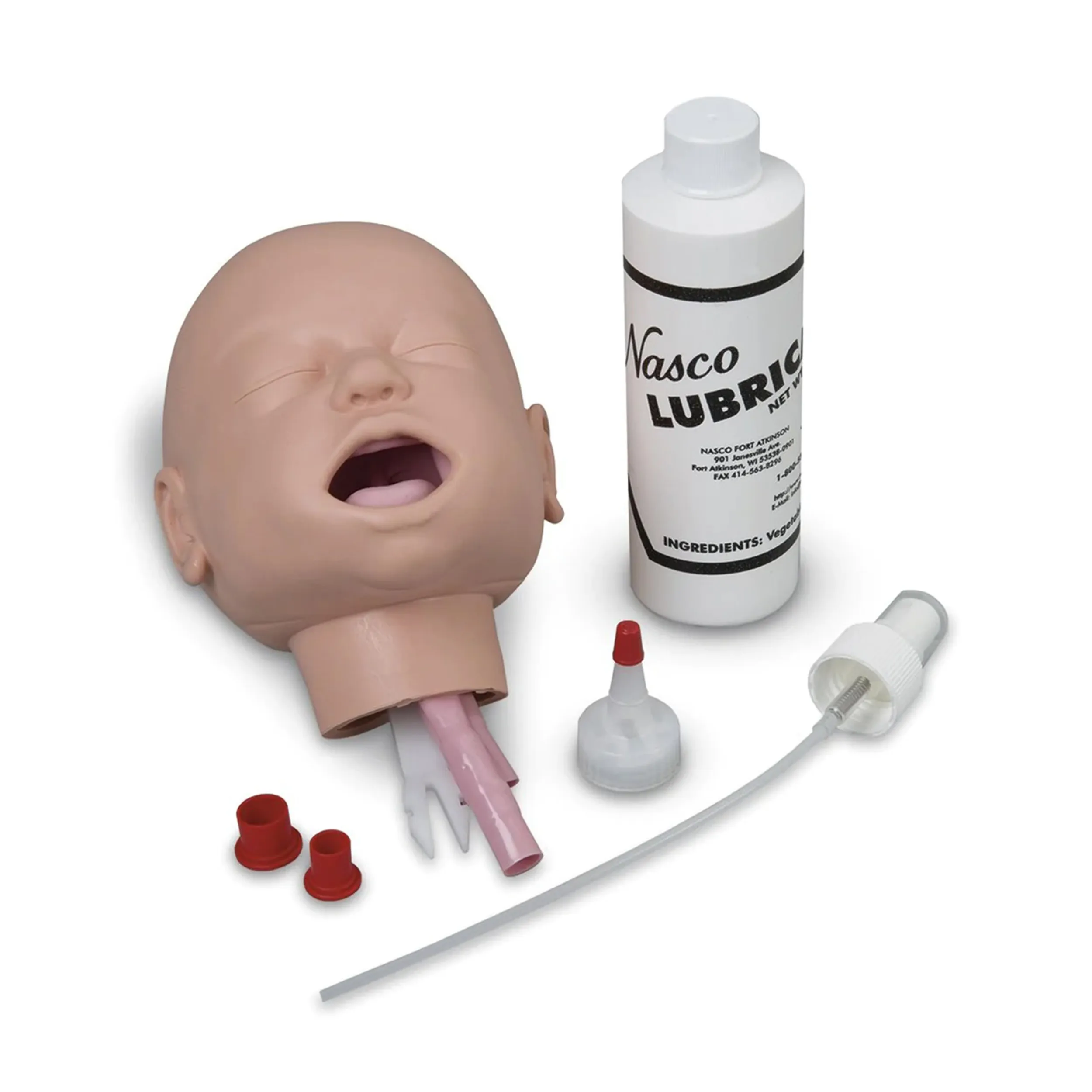Infant Airway Management Trainer, Head Only