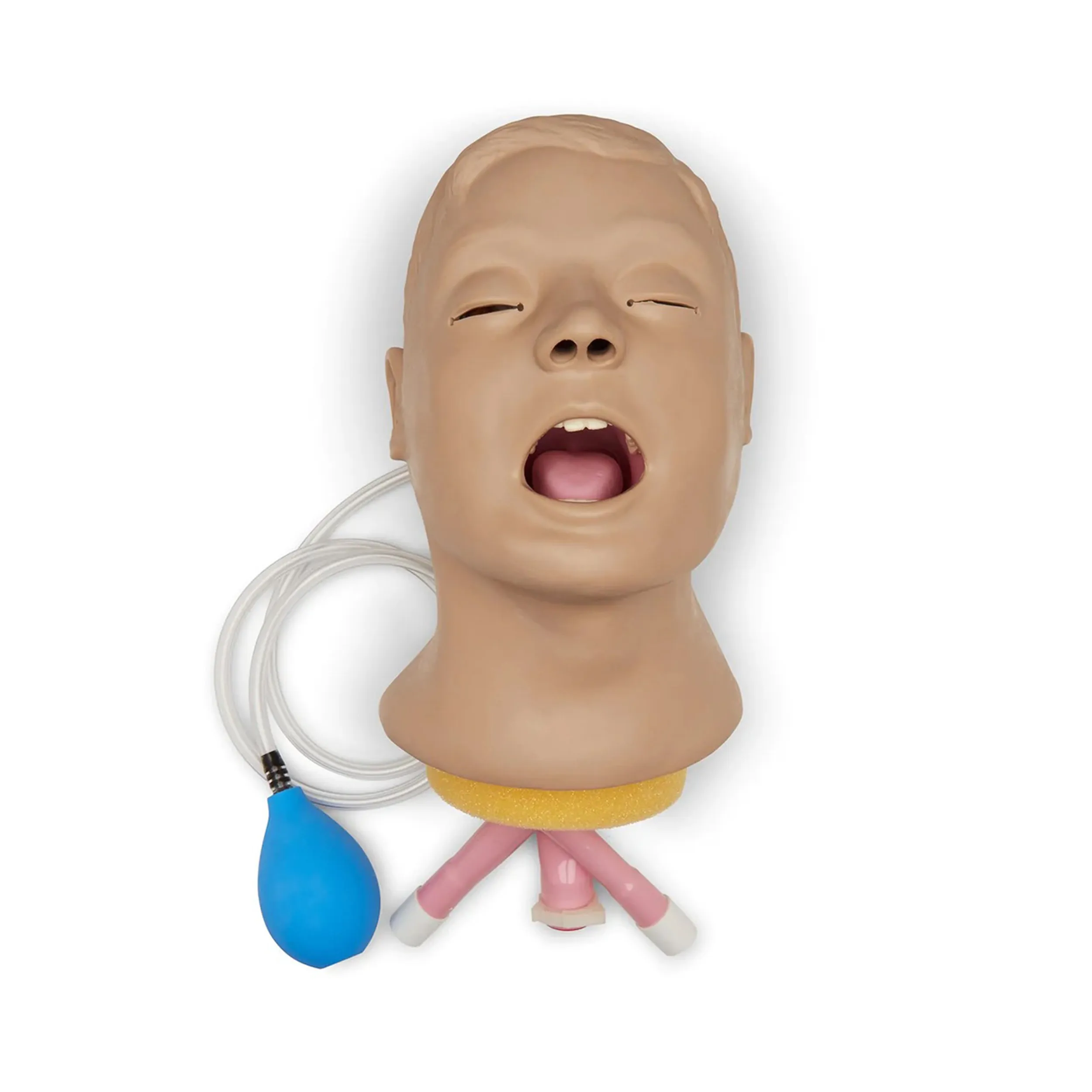 Airway Larry Airway Management Trainer, Head Only