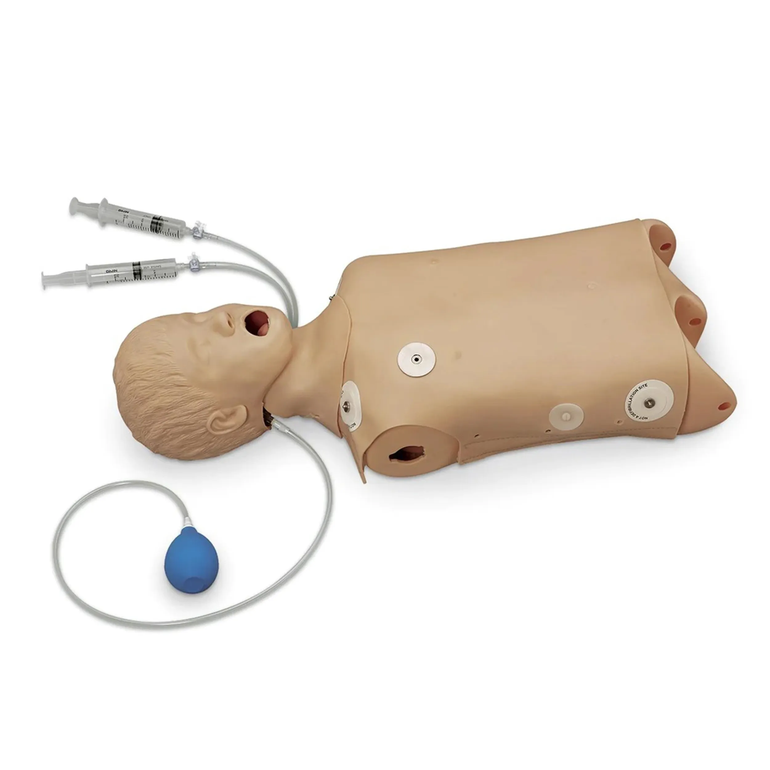 Advanced Child CPR/Airway Management Torso with Defibrillation Features