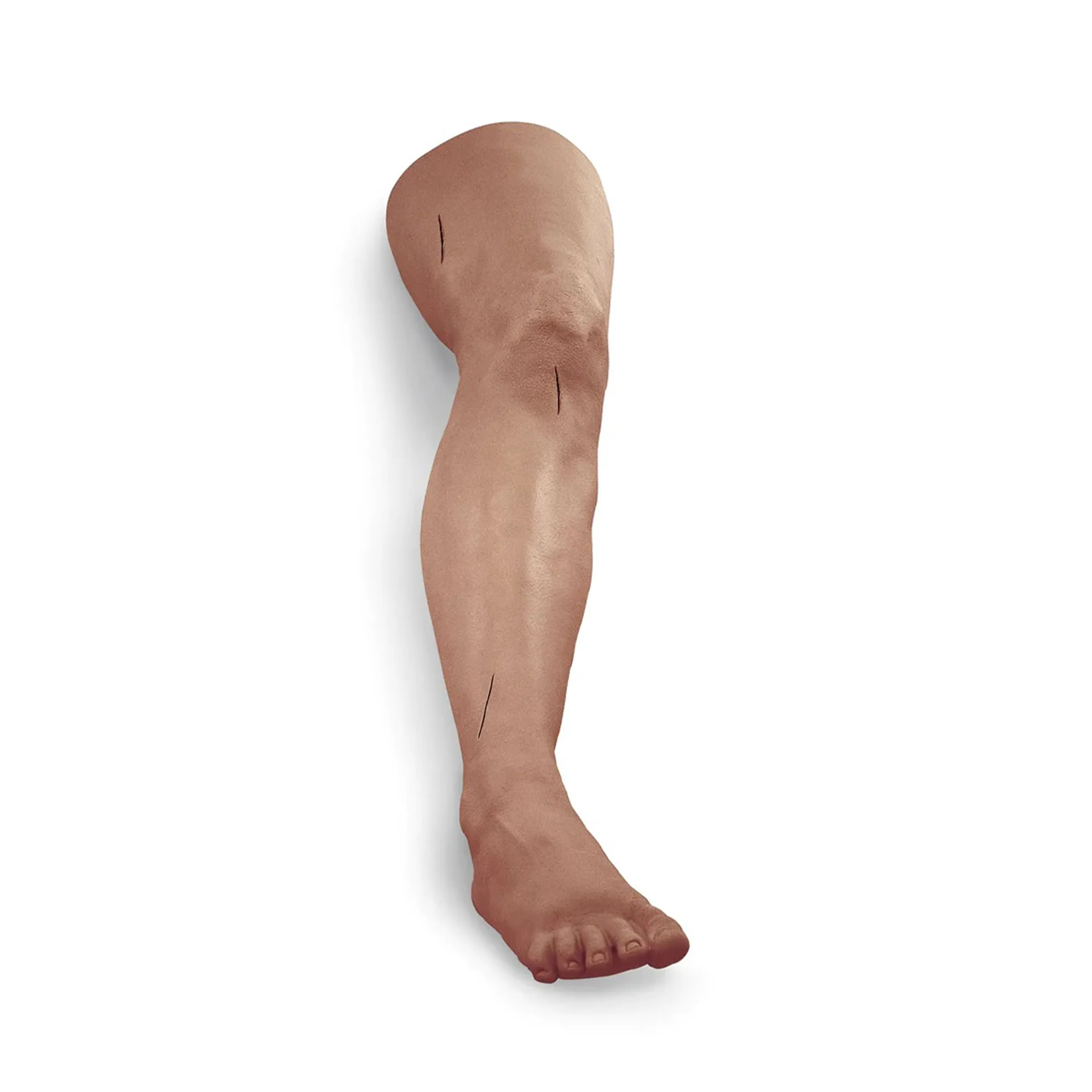 Suture and Stapling Practice Leg, Medium