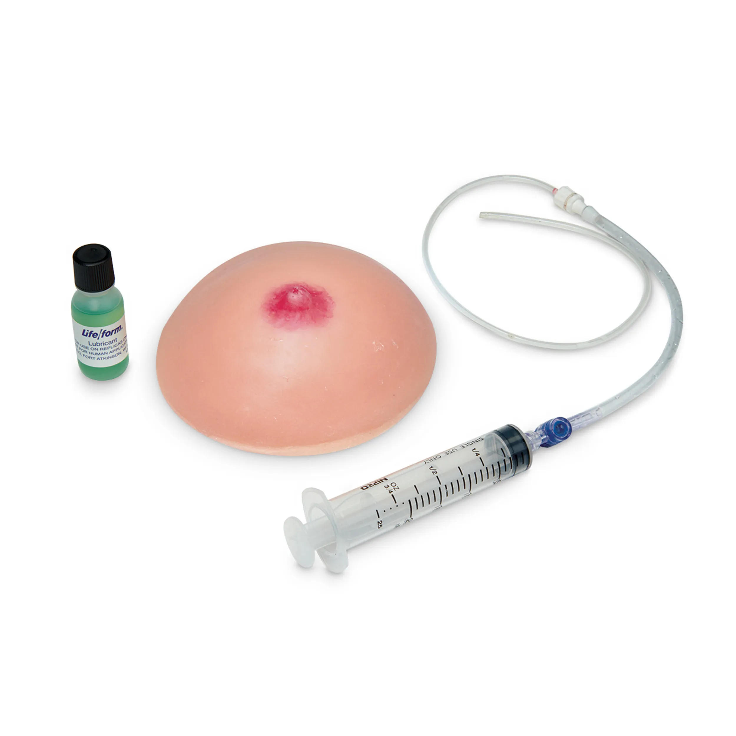 Lactating Breast