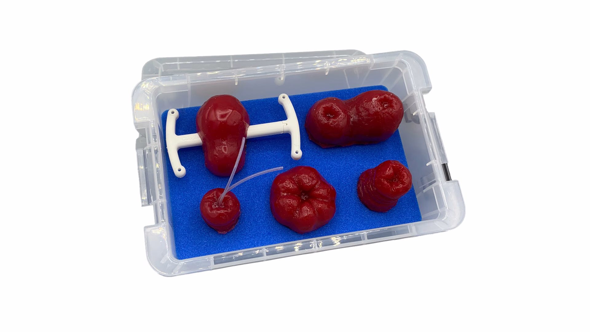 Set of Stomas for AR150