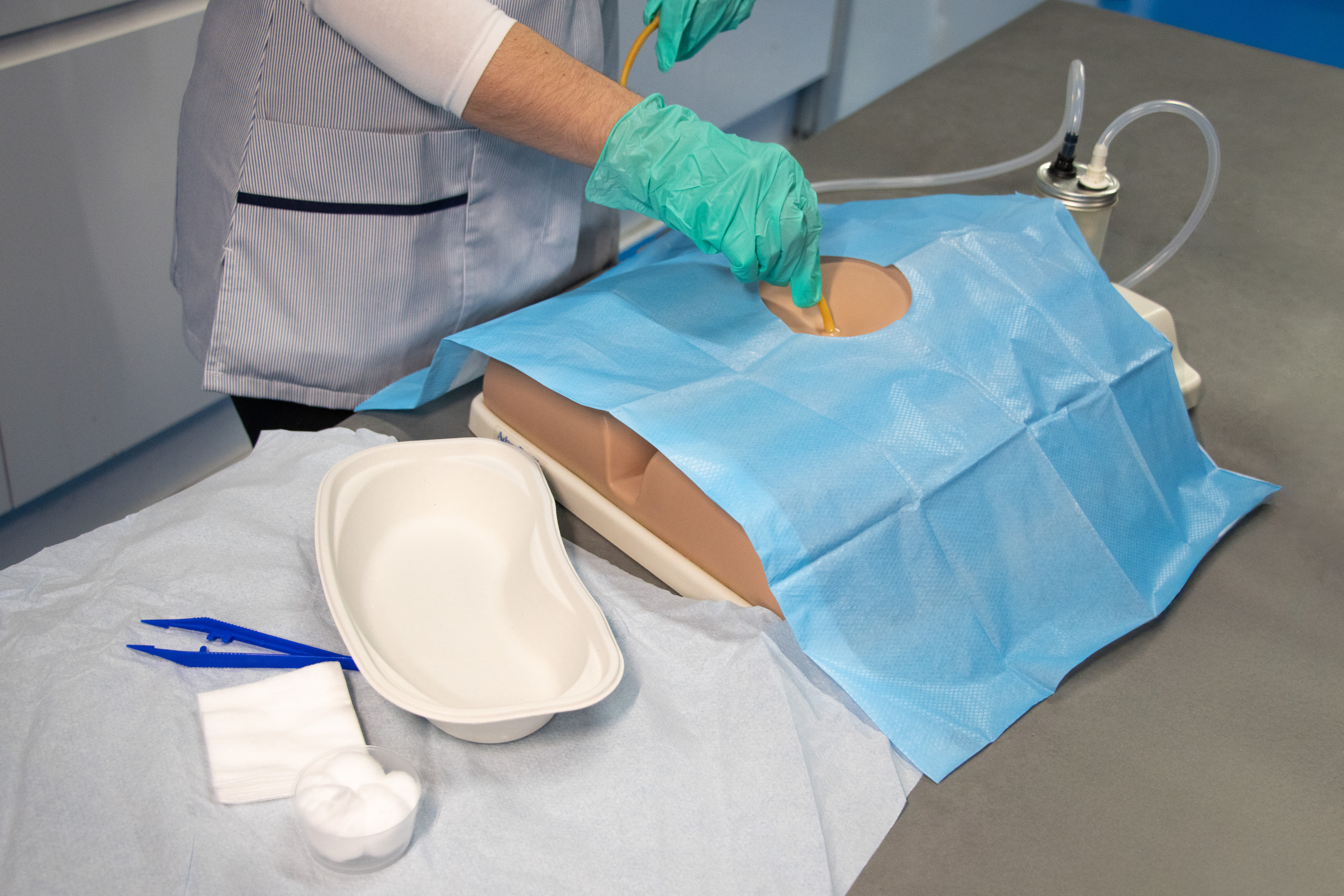 Suprapubic Training Model, Light