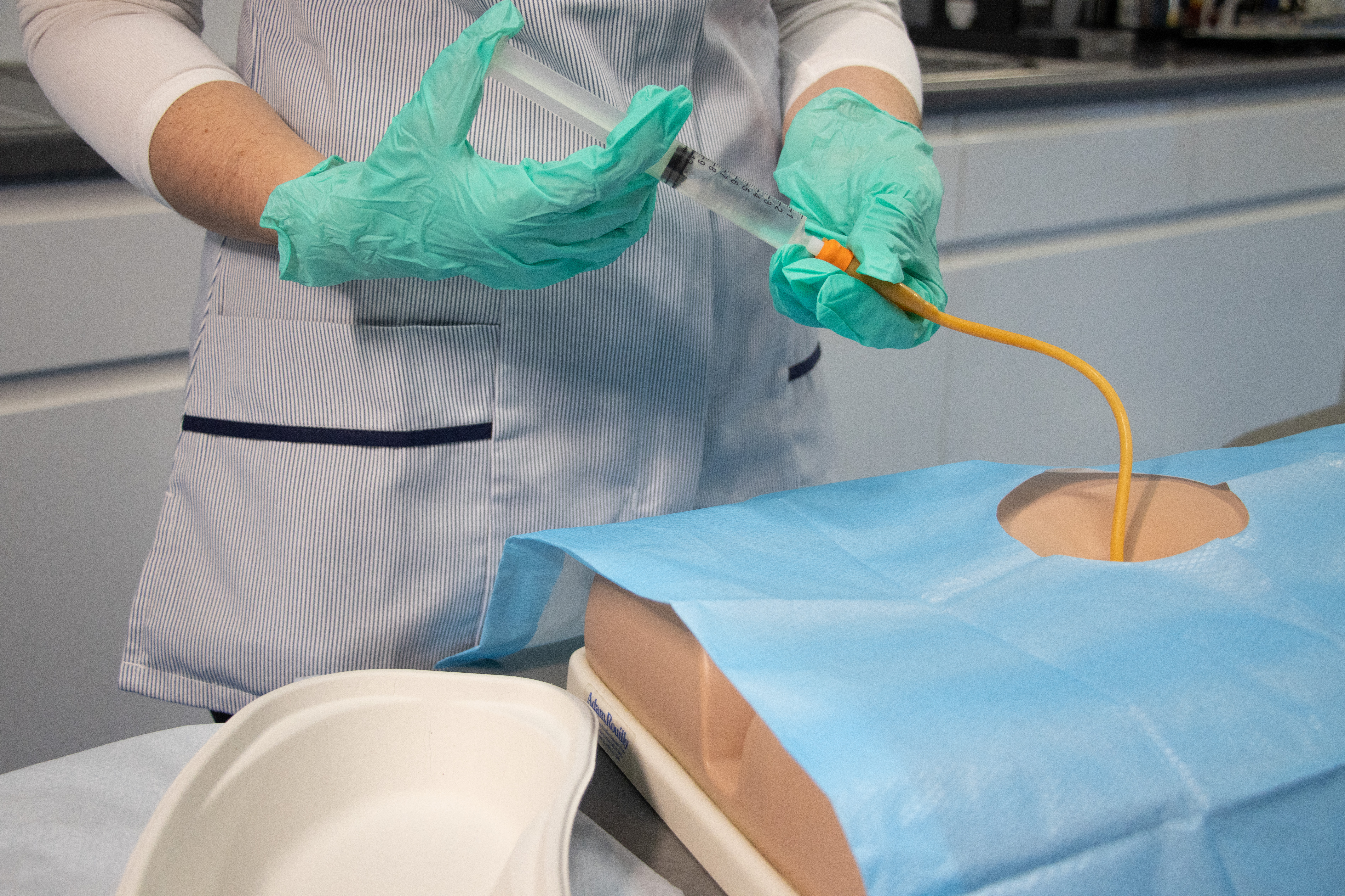 Suprapubic Training Model, Light