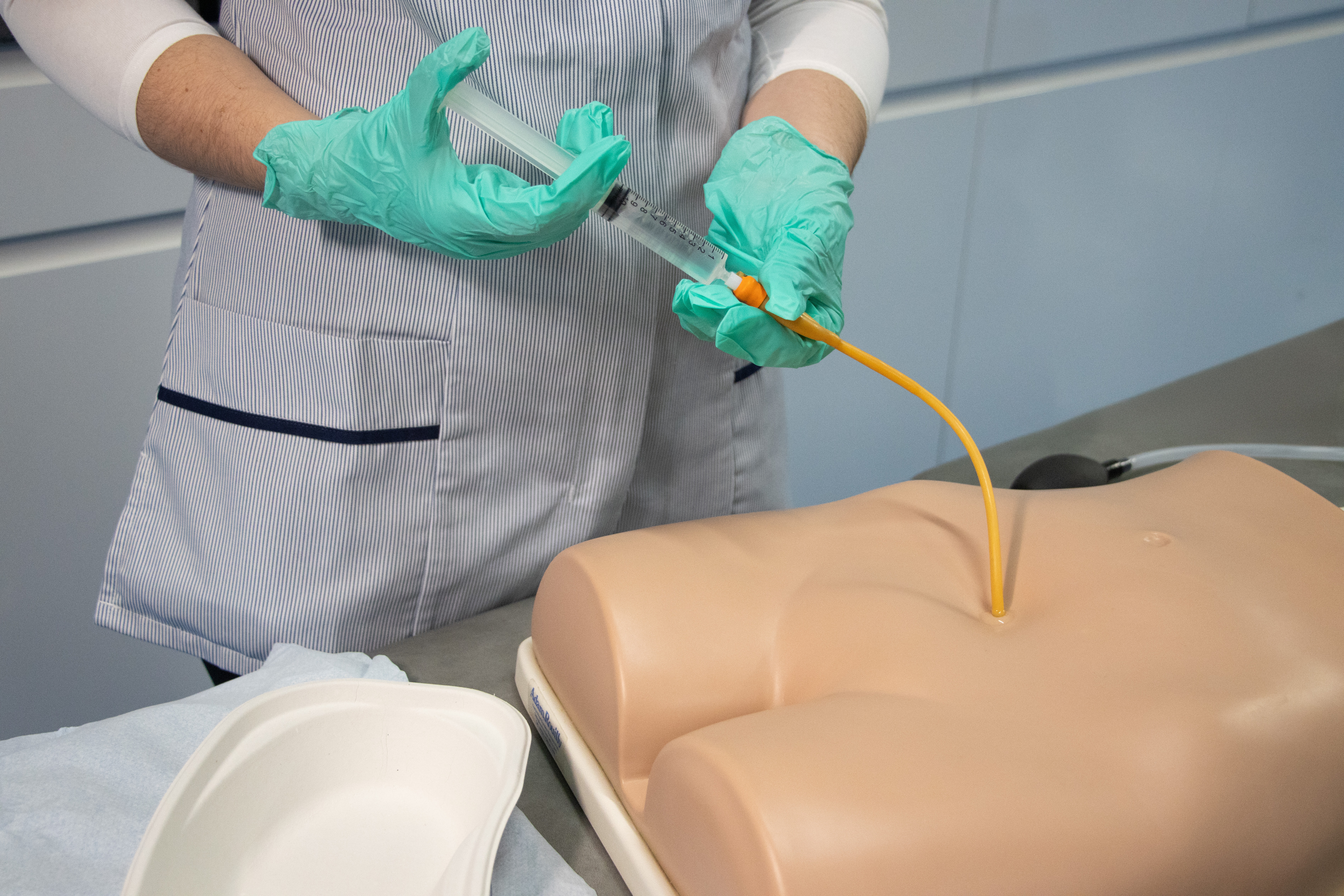 Suprapubic Training Model, Light