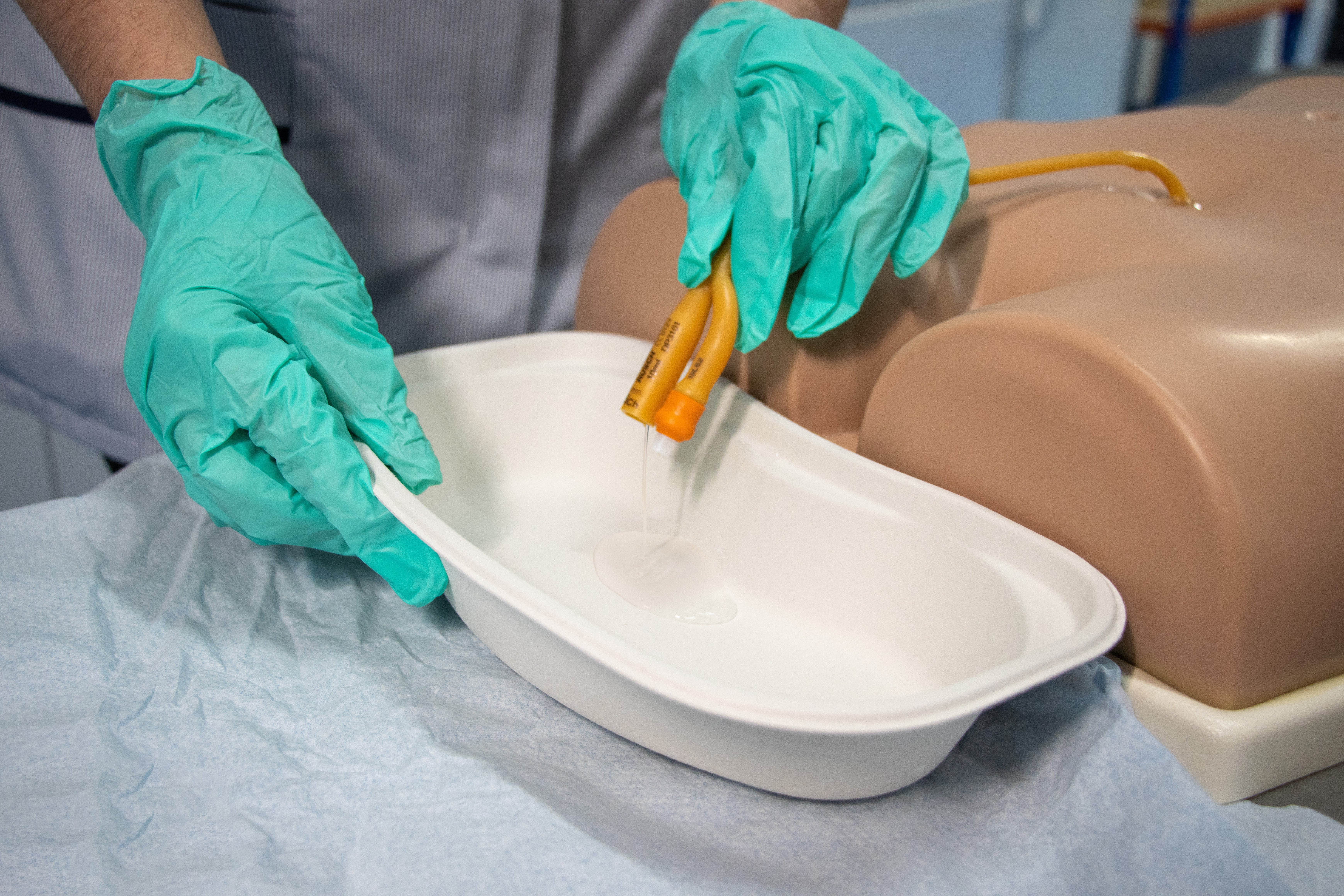 Suprapubic Training Model, Light