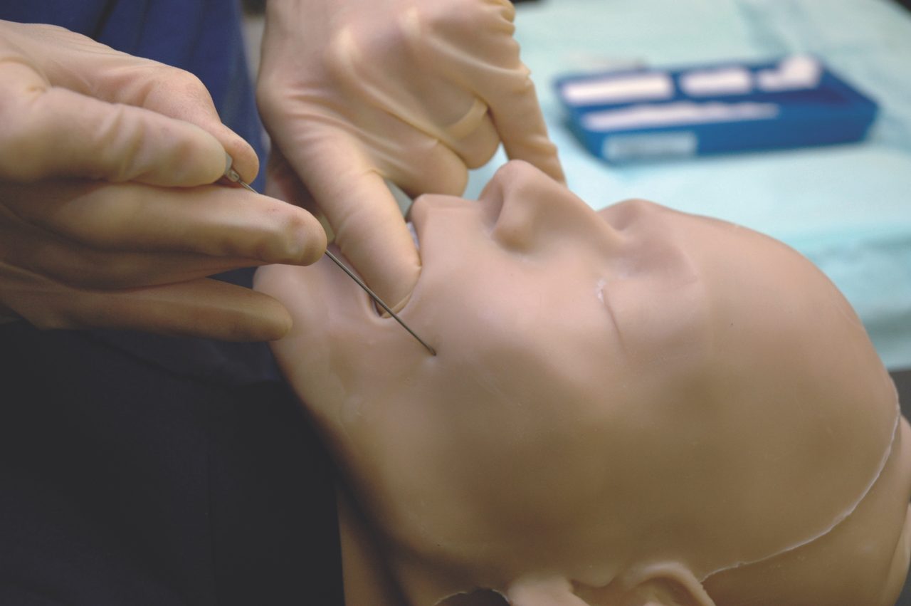 Nerve Block/Pain Relief Manikin