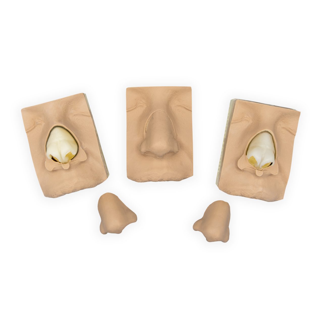 Nasal Inserts, Covers and Cartilages (3)