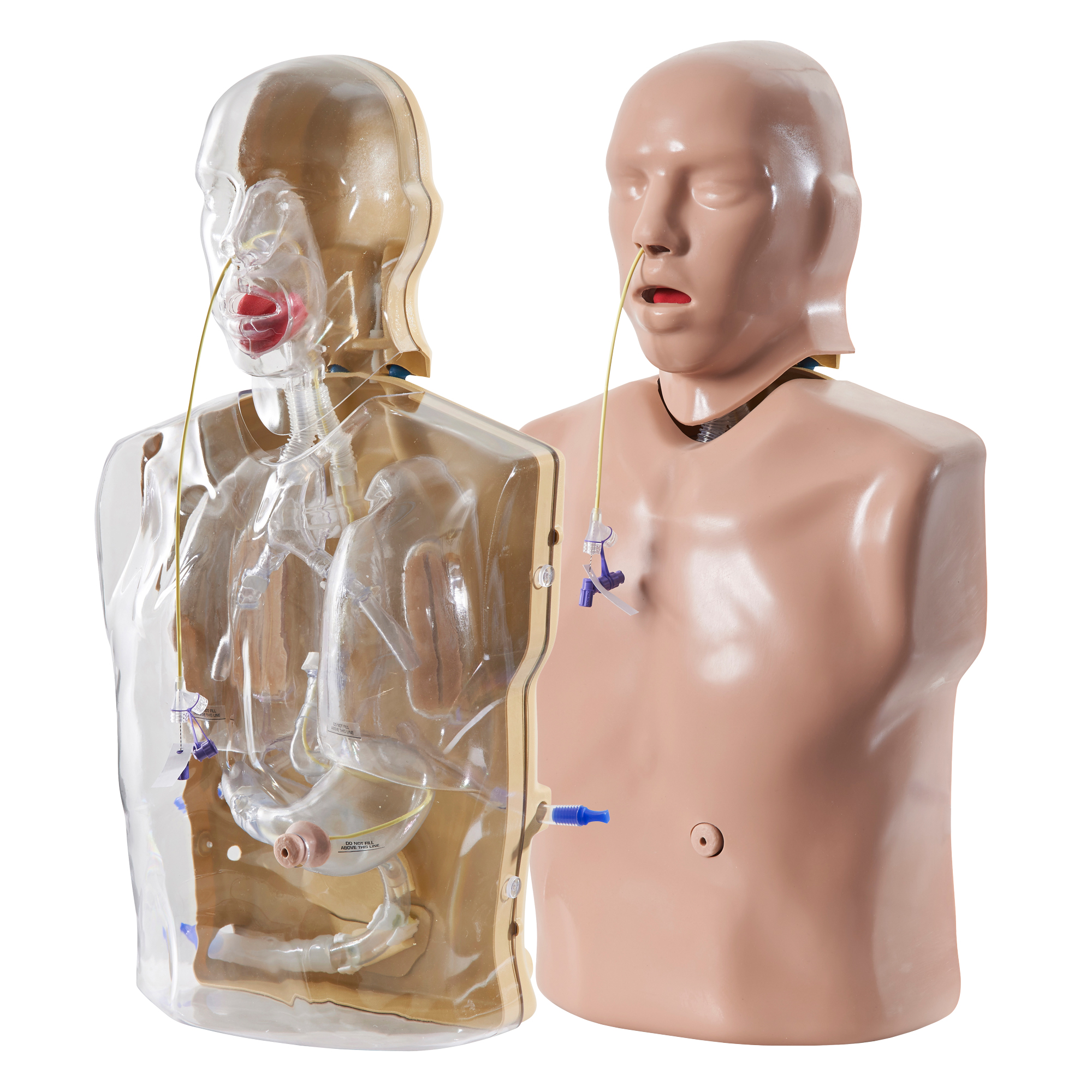 CorMan® – Adult Nasogastric/Nasojejunal Feeding Trainer