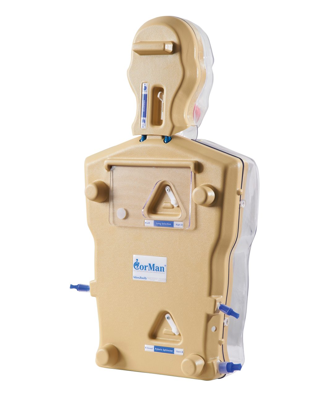 CorMan® - Adult Nasogastric/Nasojejunal Feeding Trainer, Dark