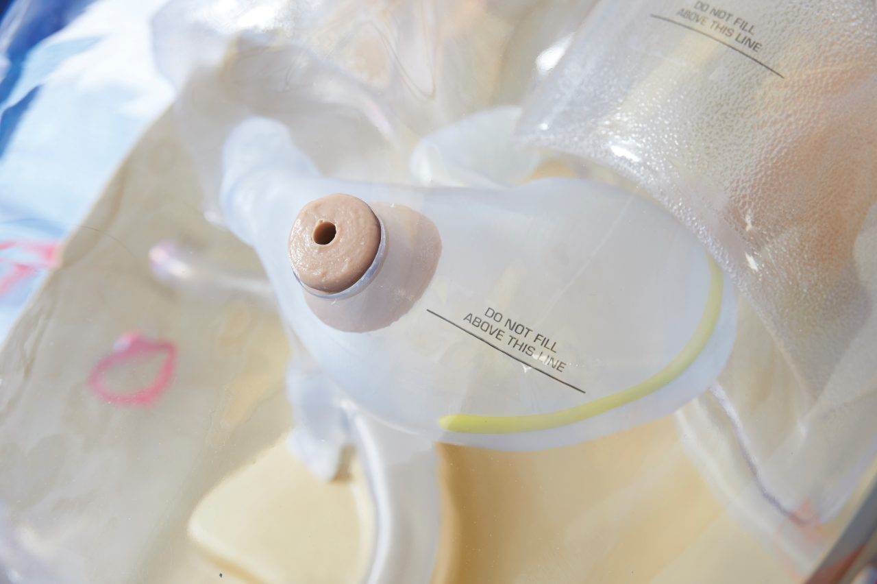 CorMan® - Adult Nasogastric/Nasojejunal Feeding Trainer, Dark