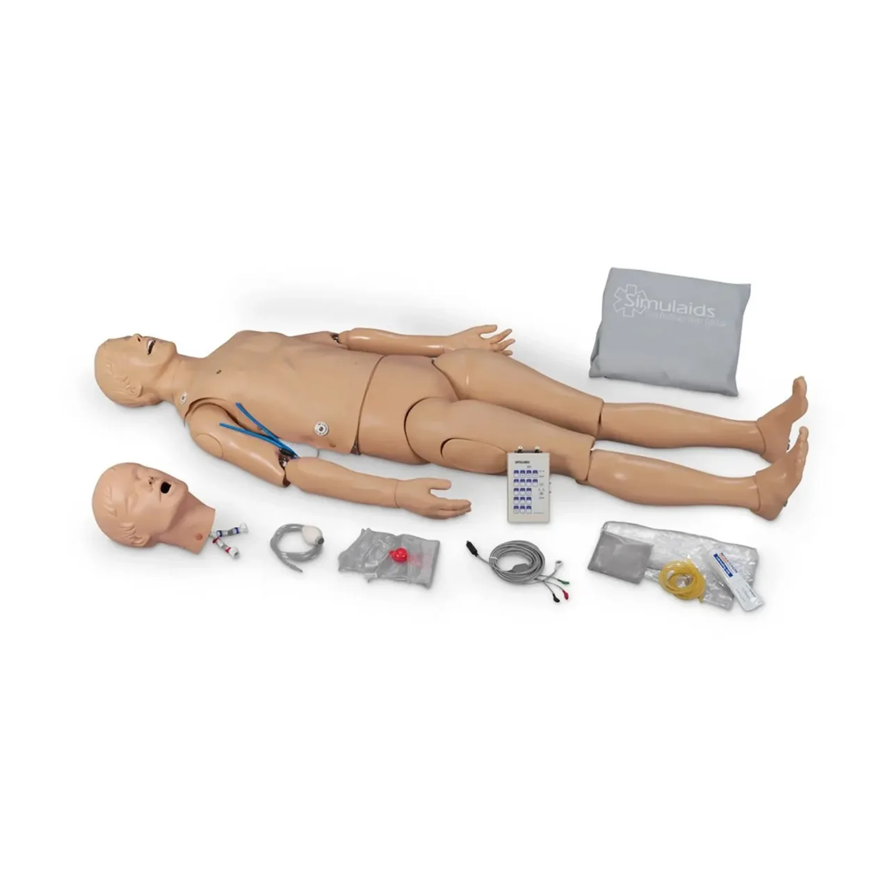 Adult ALS Trainer With 2 Arms