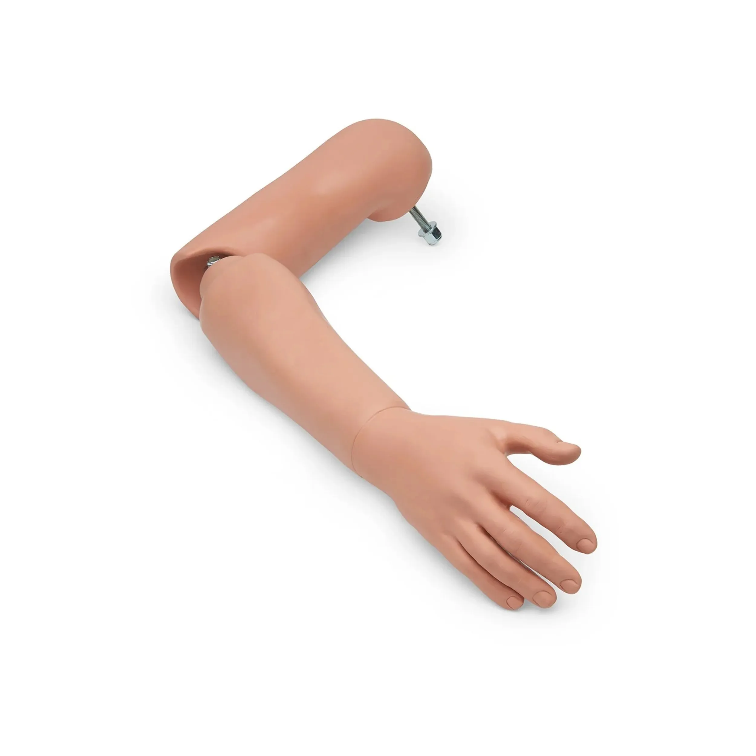 Complete Right Arm