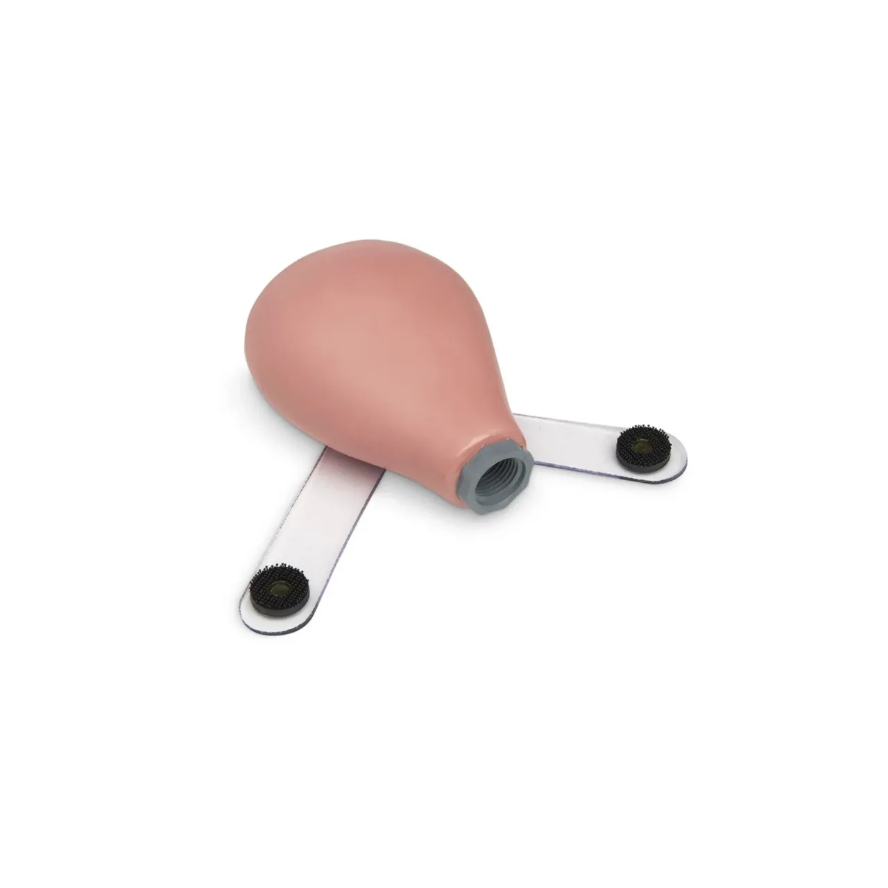 Pregnant Uterus