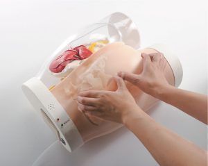 Intramuscular Injection Model of Buttocks, Light